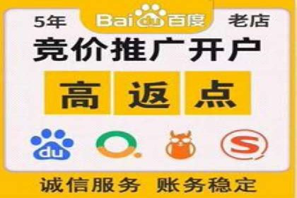 搜索开户返点揭秘：实战案例赚钱技巧